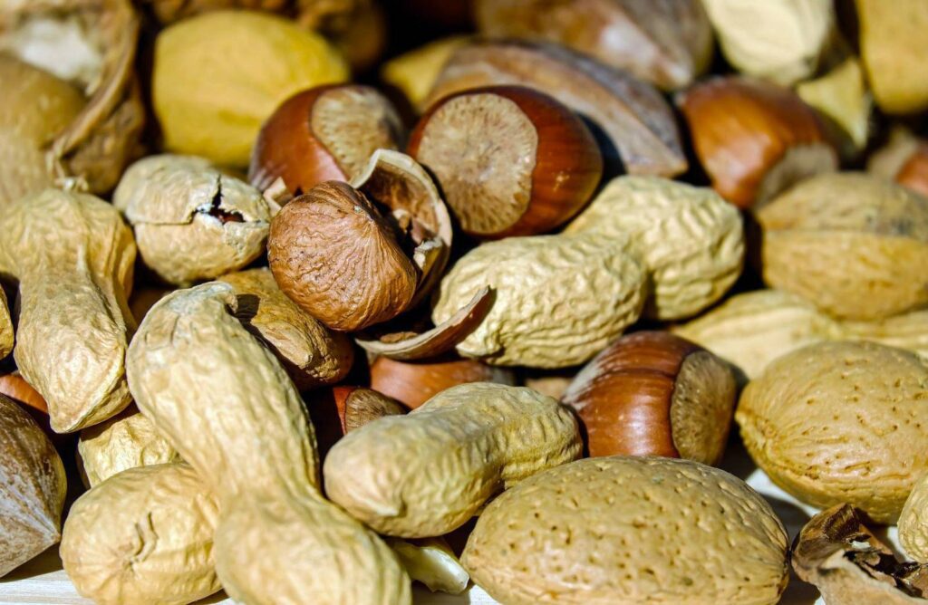 Argentina lidera exportaciones de maní en volumen
