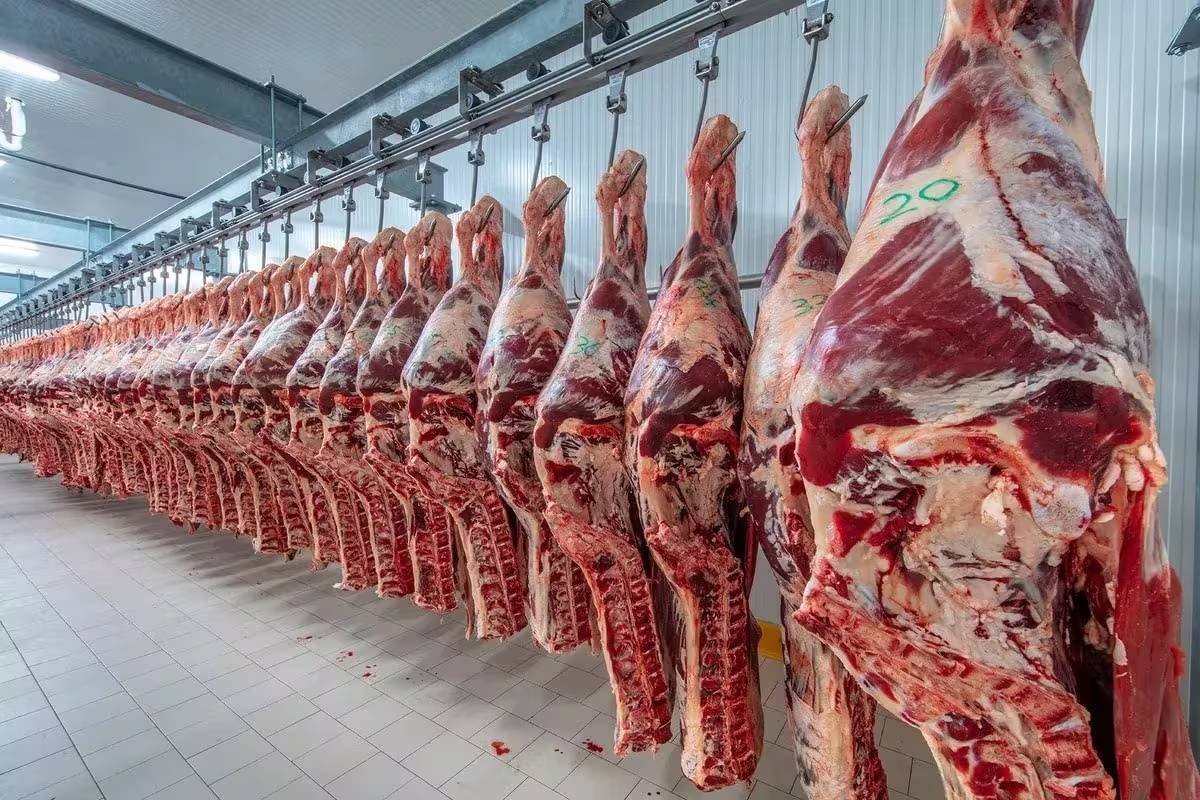 Exportaciones de carnes sin retenciones en Argentina 2025