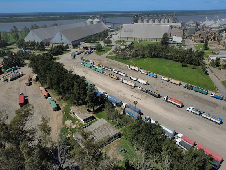 Descarga de granos en puertos cerealeros con aumento inusual de camiones