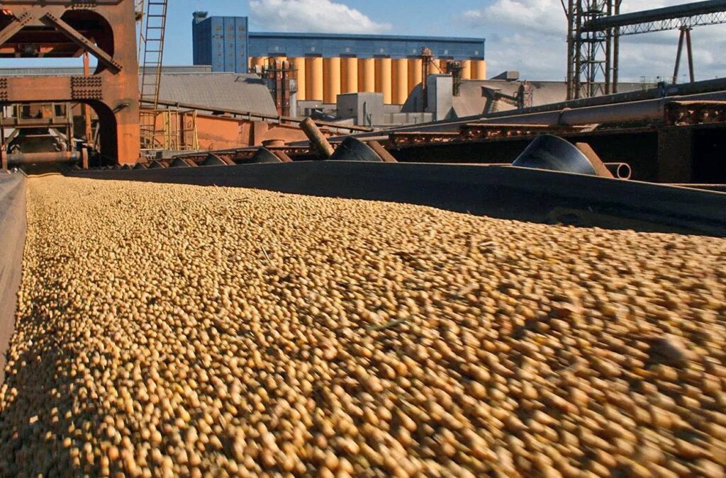 Japón Mercosur y comercio de recursos estratégicos