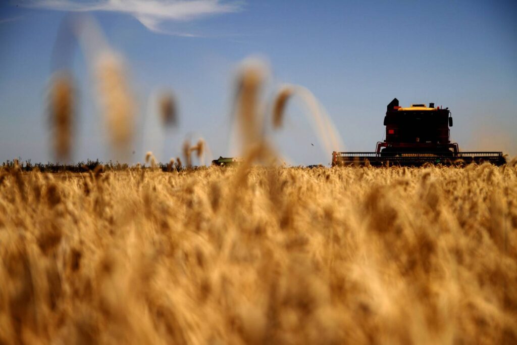 agroindustria argentina vinculada a la logística de exportación