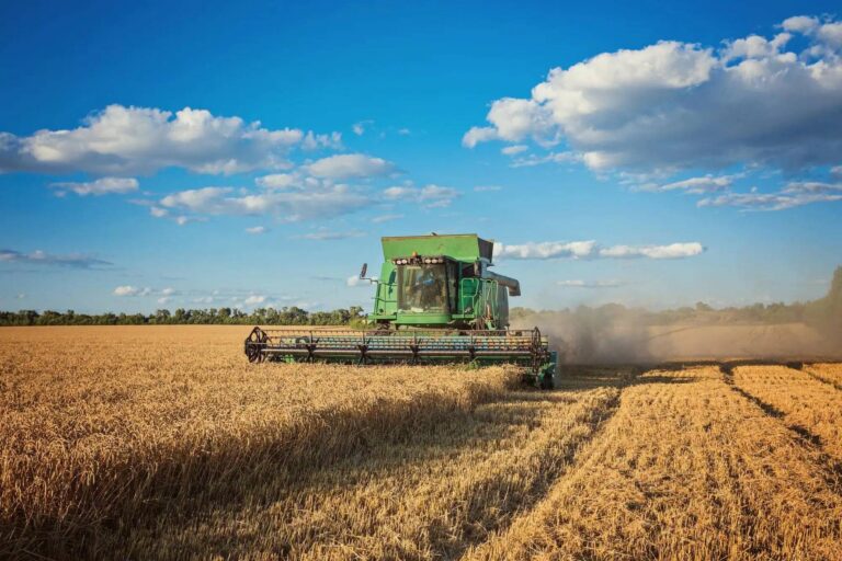 exportaciones agroindustriales argentinas en crecimiento