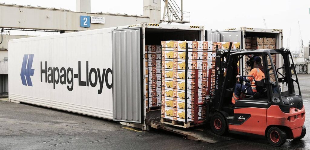 Alimentos importados Argentina: control sanitario y certificaciones