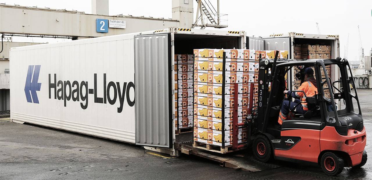 Alimentos importados Argentina: control sanitario y certificaciones