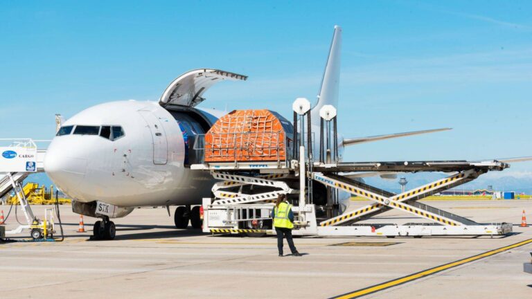 aumento carga aerea mundial mayo 2025 iata