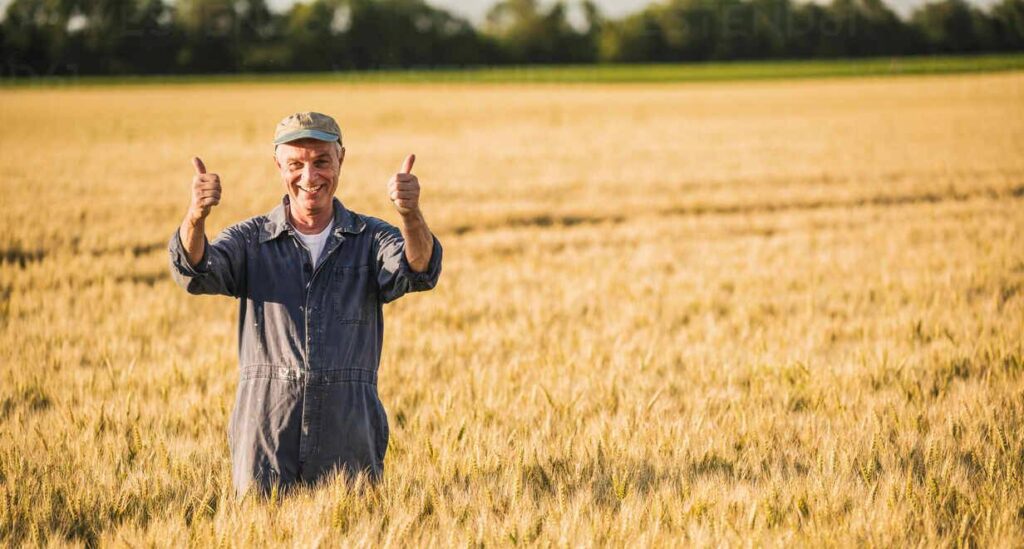 baja de retenciones a los granos y alivio fiscal para productores agropecuarios