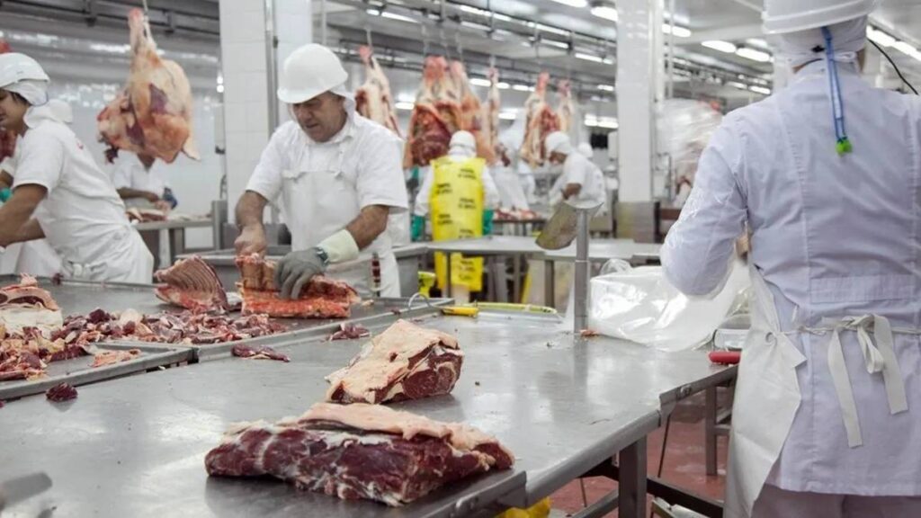 Carne argentina a Japón: logística en frío y contenedores reefer