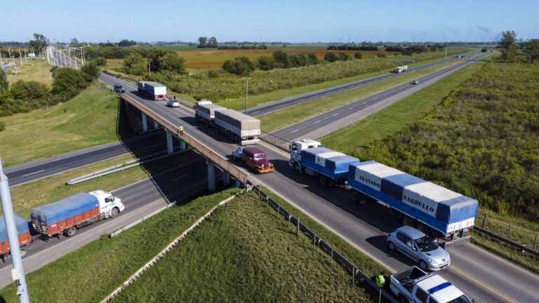 desregulación transporte de cargas en Argentina 2025