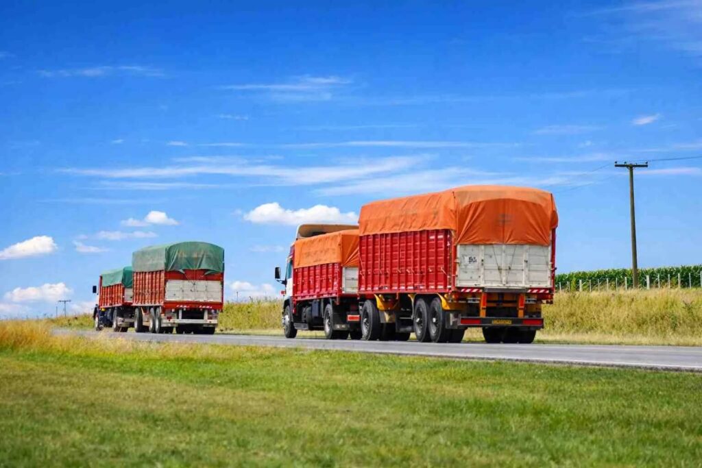 logística para exportaciones agroindustriales