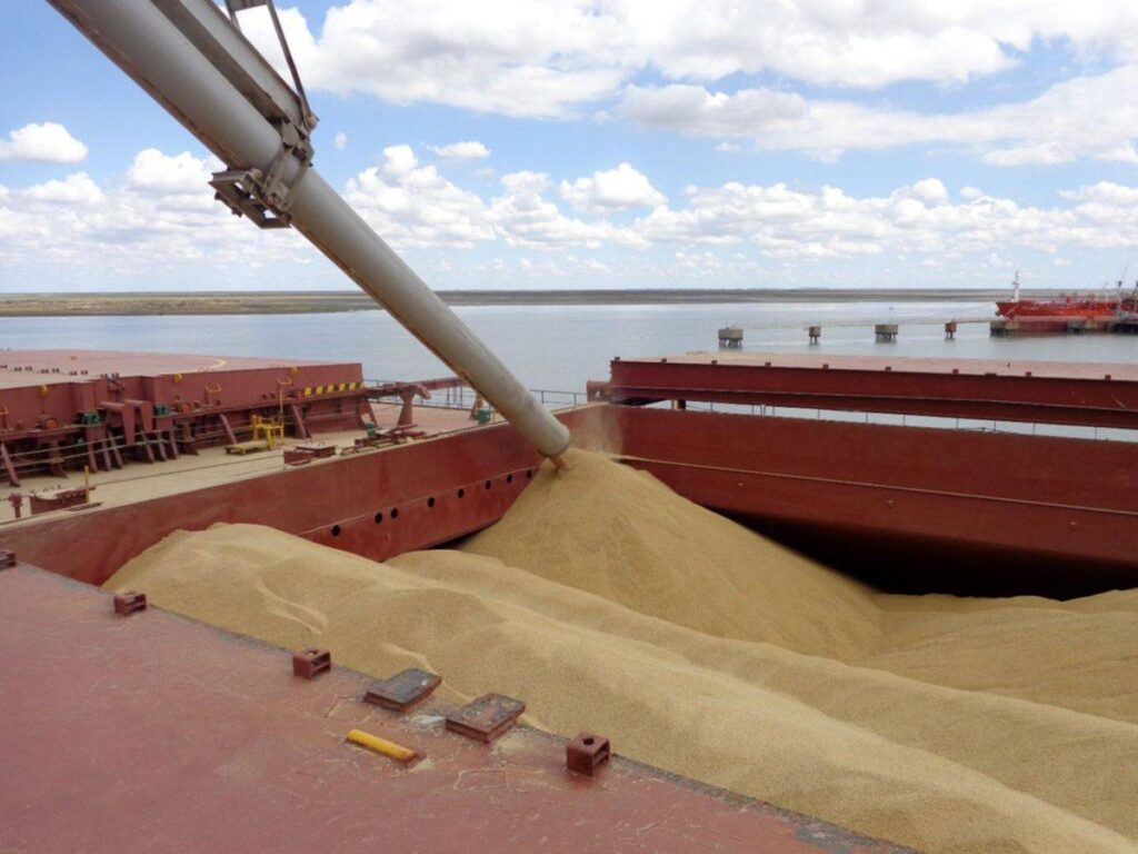 trigo argentino en exportaciones de trigo a China