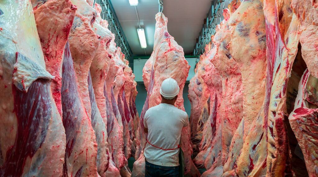cuota de carne vacuna argentina hacia la Unión Europea