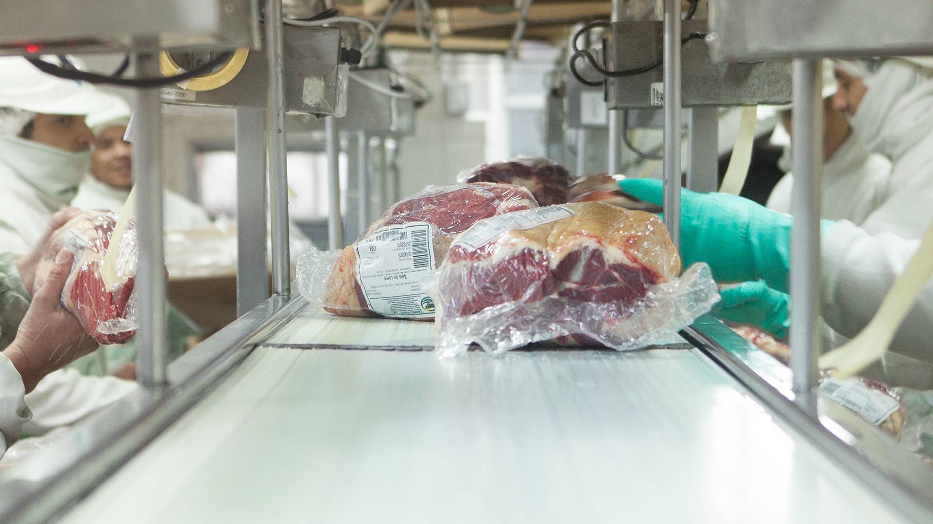 “cuota carne argentina: contenedores refrigerados listos para exportación”