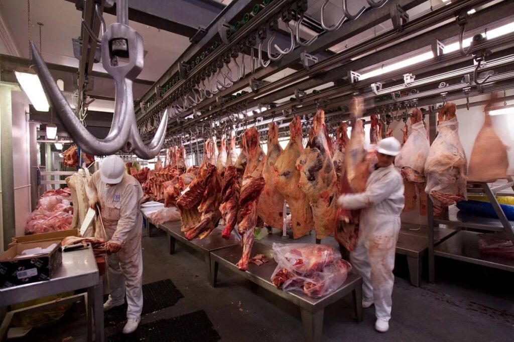 control sanitario para cuota de carne vacuna de exportación