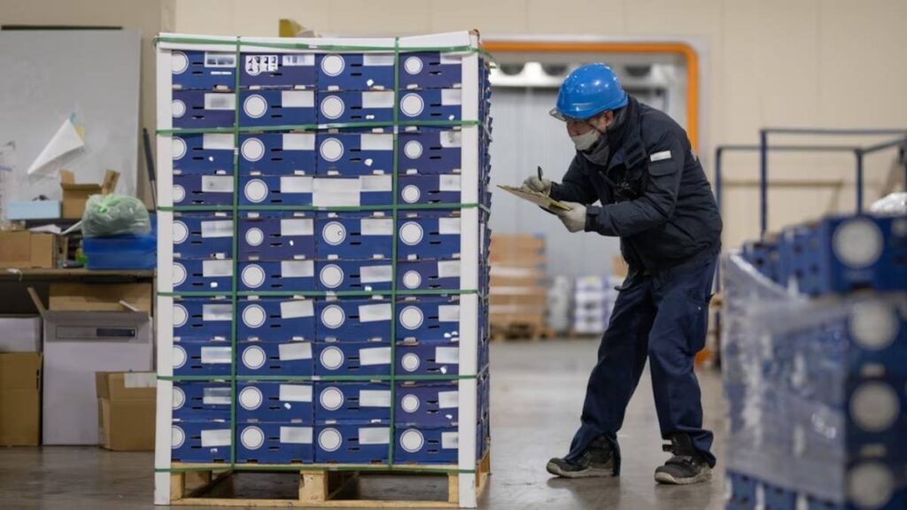 Alimentos importados Argentina: flujo de control ANMAT y SENASA