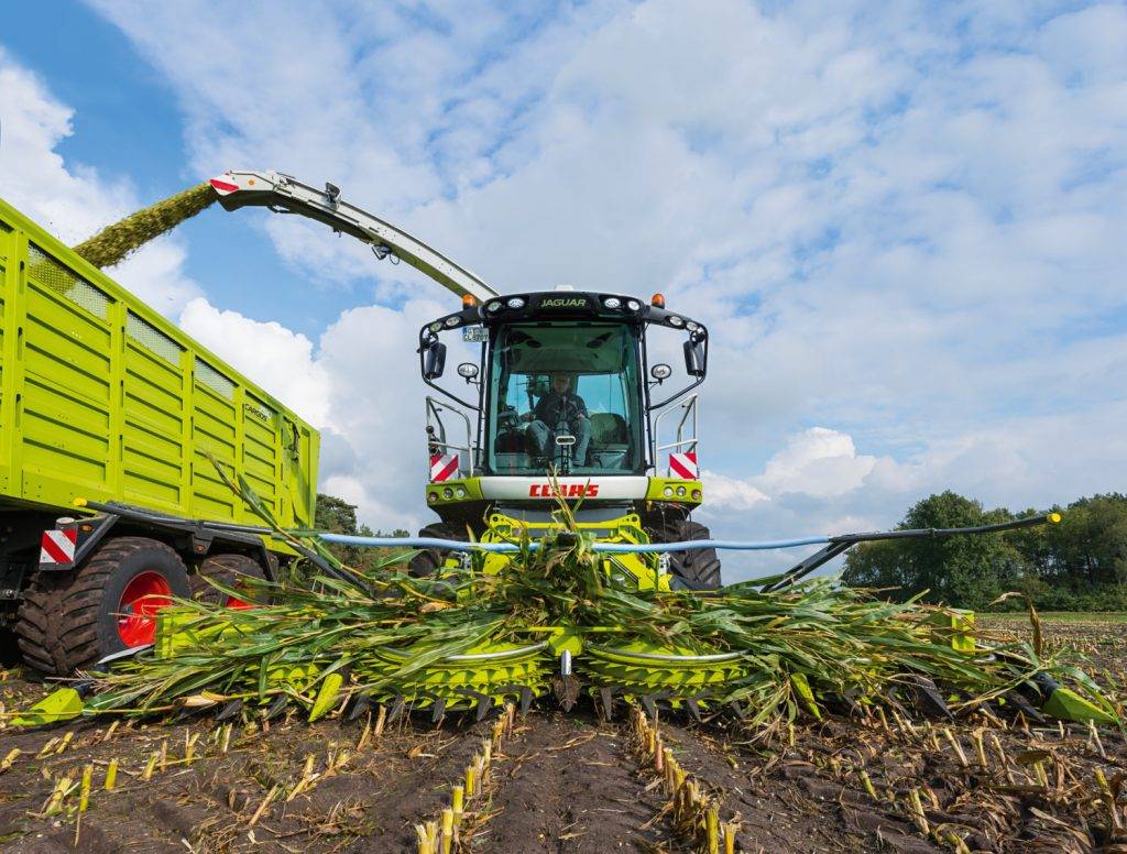 baja de retenciones a los granos y alivio fiscal al agro