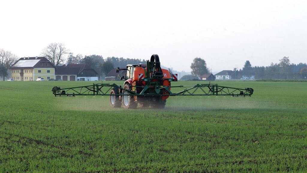 Producción argentina para exportar legumbres a China y otros mercados