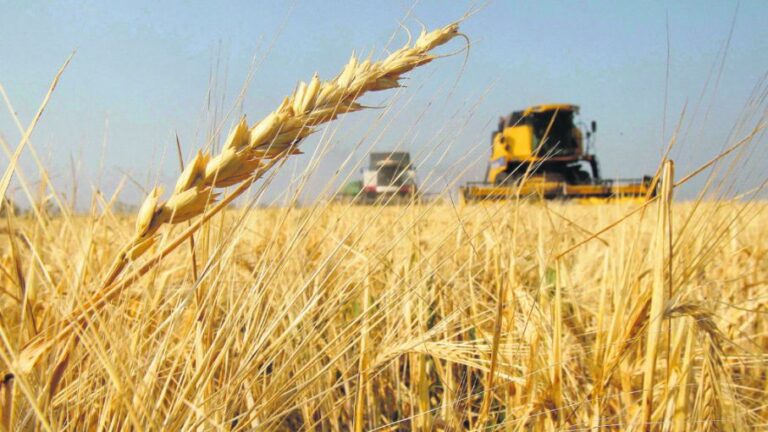 Derecho de Exportación para granos 0% Argentina