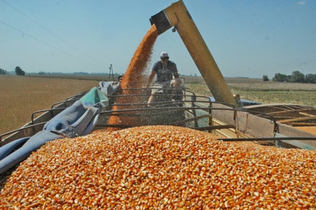 baja de retenciones a los granos por cultivo