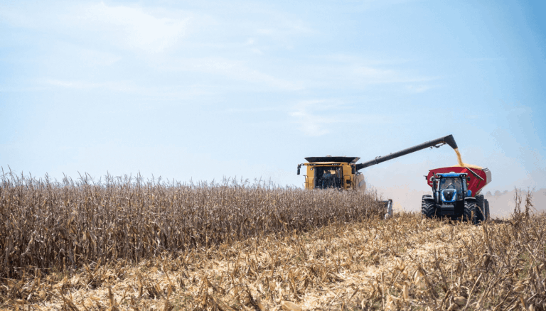 Maíz argentino en exportaciones agroindustriales