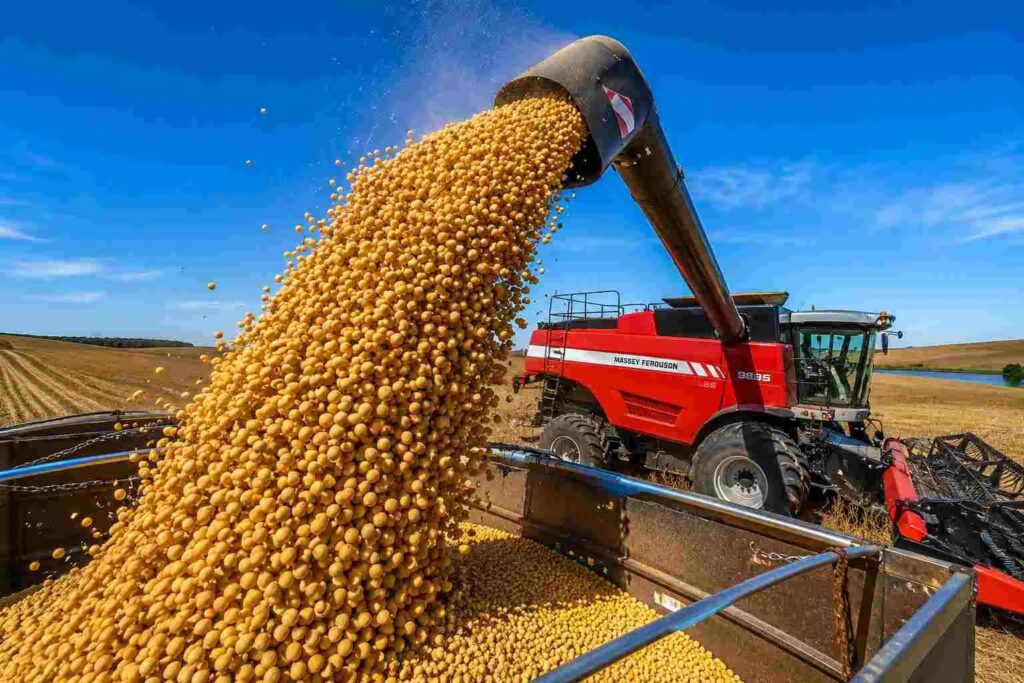 Datos de la planta de soja de Molinos Agro y ACA