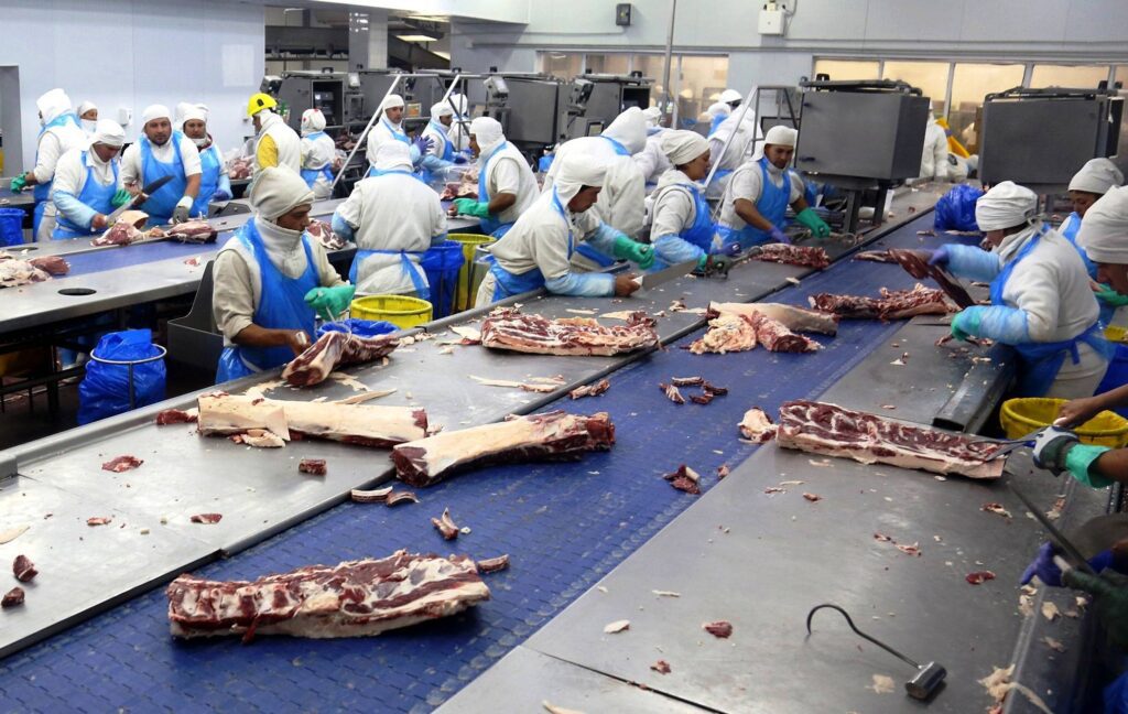 impacto de las cuotas en la carne argentina