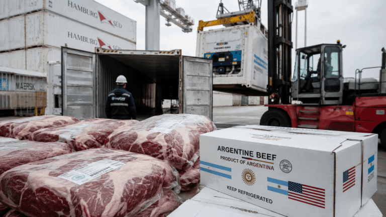 300.000 toneladas de carne abren expectativas para las exportaciones argentinas a Estados Unidos