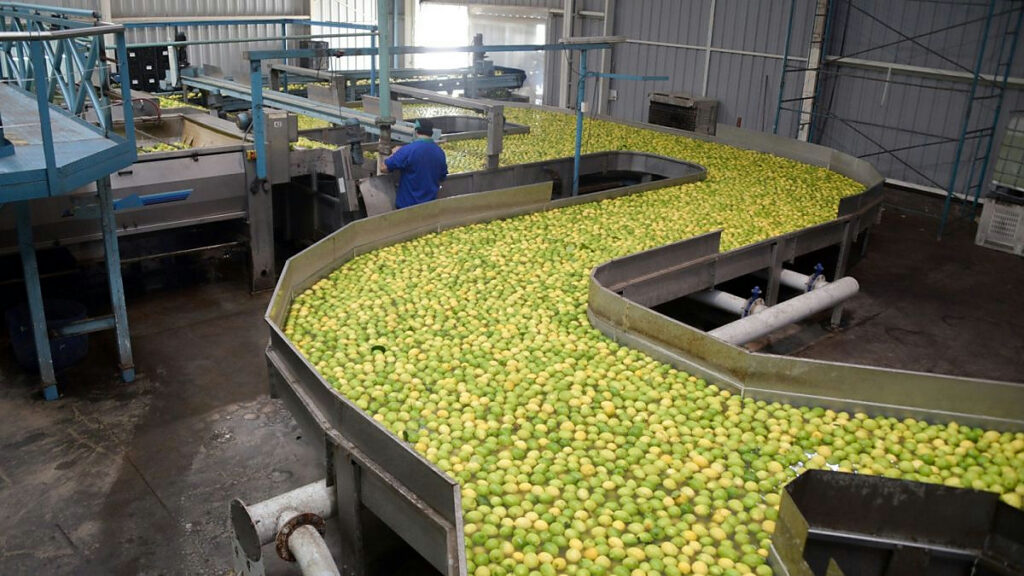 Productos de la agroindustria argentina exportados a Europa
