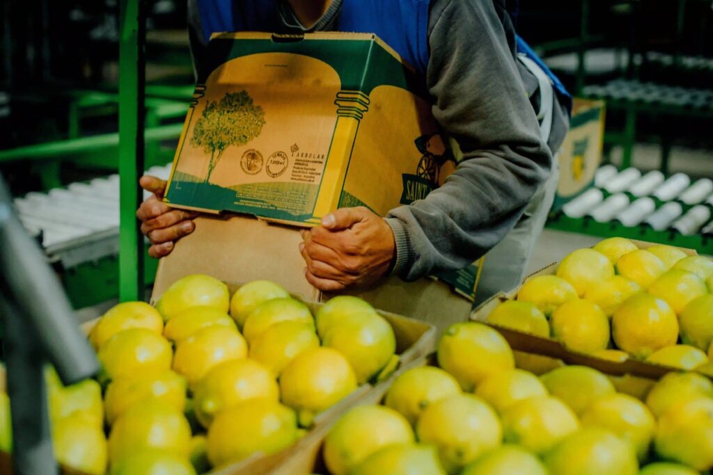 exportaciones de limón argentino en crecimiento