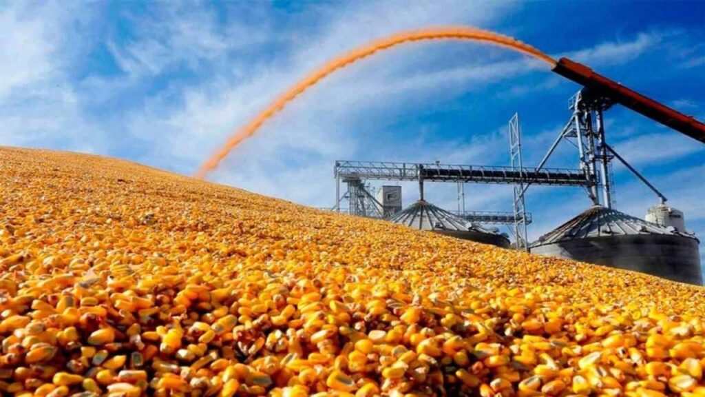 superávit comercial 2025: caída de términos del intercambio 0,9%