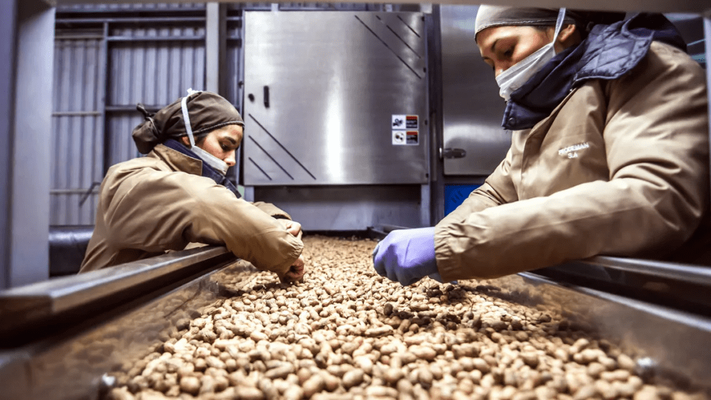 Exportaciones agroindustriales en puerto argentino con carga lista para embarque