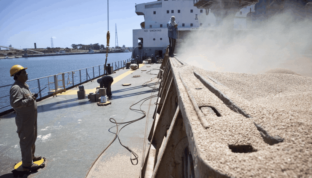 exportaciones agroindustriales argentinas