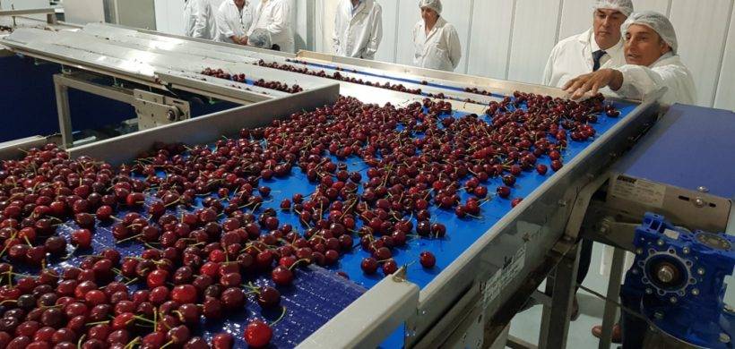 Nueva tasa única de ANMAT para importación de alimentos 