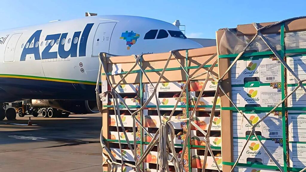 comercio Argentina Brasil: rutas logísticas y planificación 2026