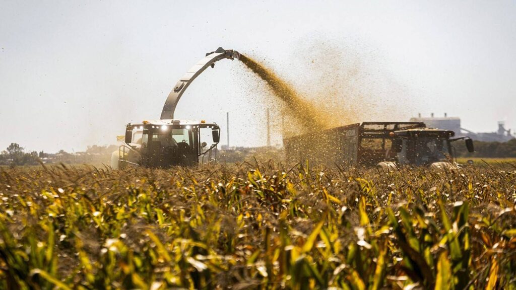 Exportaciones per cápita agroindustriales: liderazgo regional de Chile”