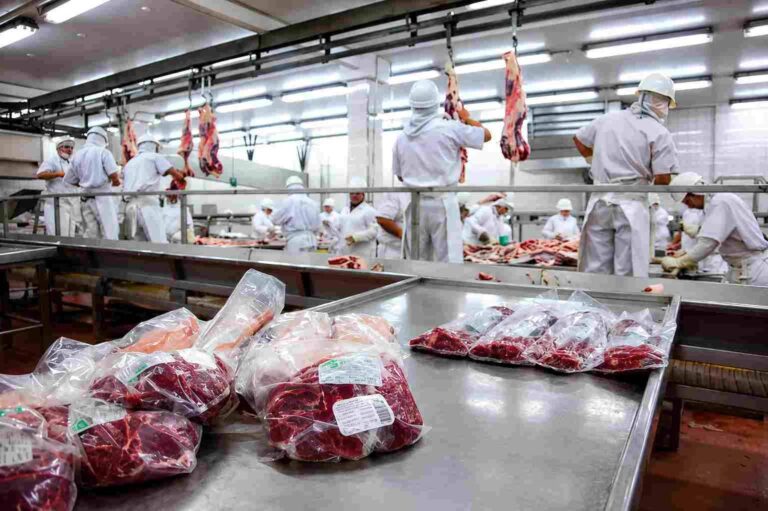 carne bovina argentina preparada para exportación internacional