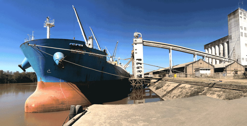 Brasil y Argentina exportaciones de soja a China