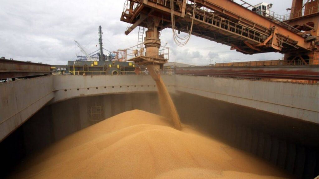 trámite para exportar girasol argentino