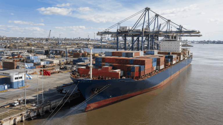 Exportaciones argentinas a China durante el primer semestre de 2026”.
