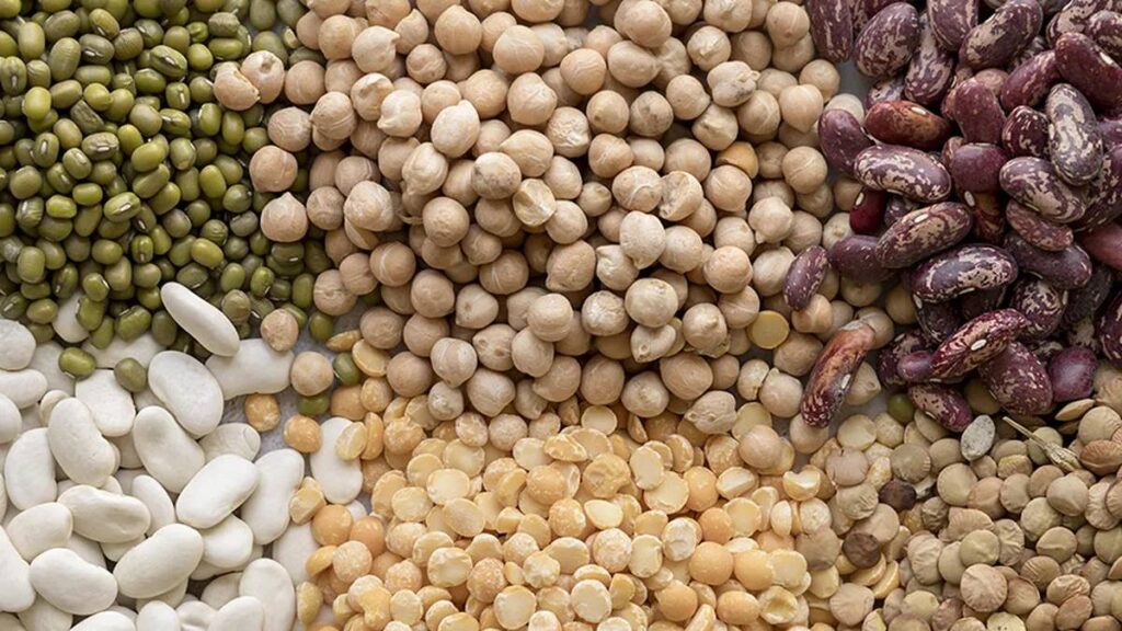 Exportar legumbres a China como oportunidad para el agro argentino