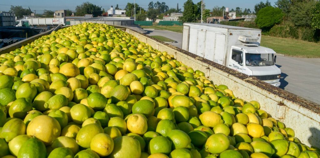 exportaciones agroindustriales por producto
