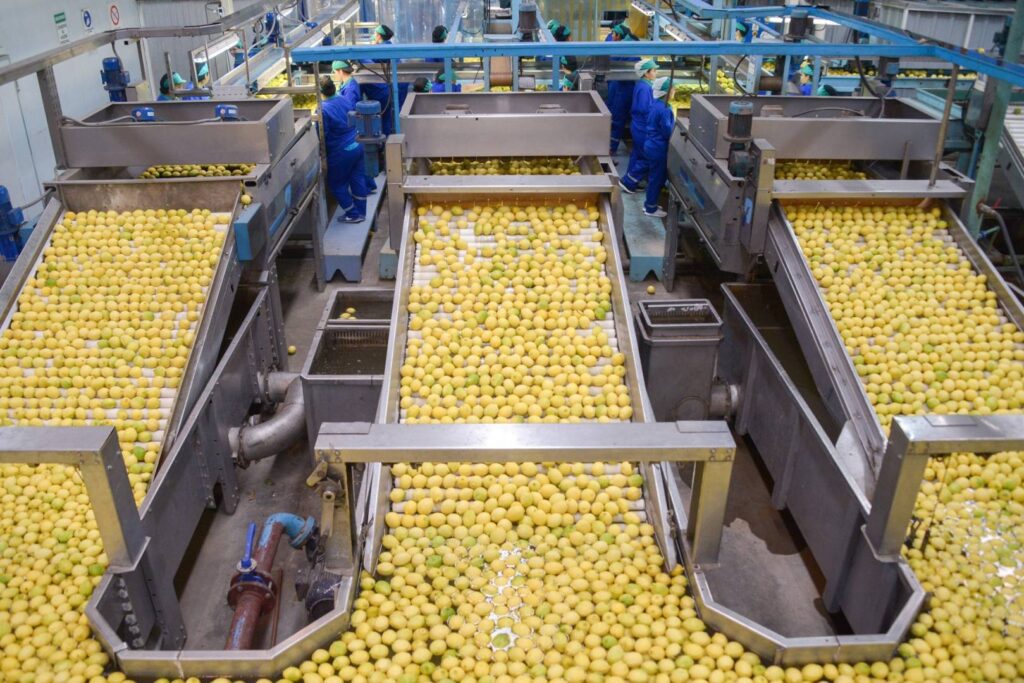 destinos de exportaciones de limón argentino