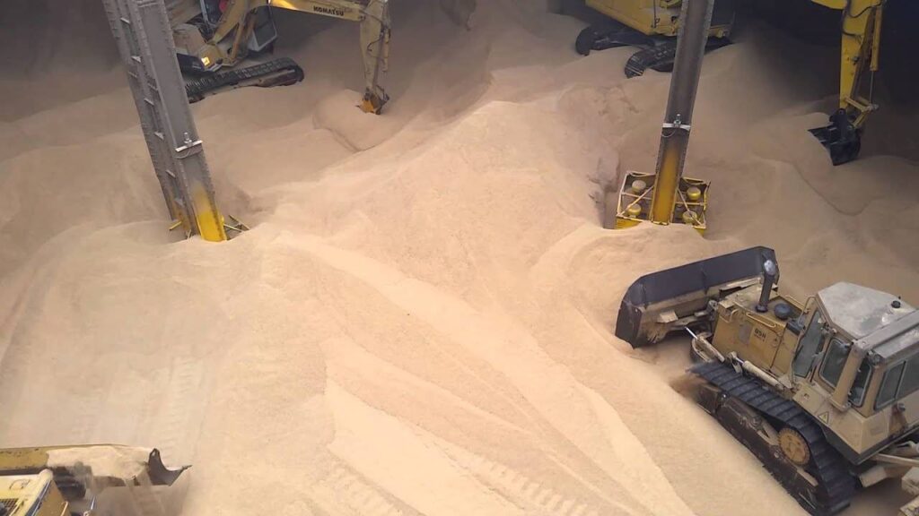 crecimiento porotos de soja Argentina productos primarios