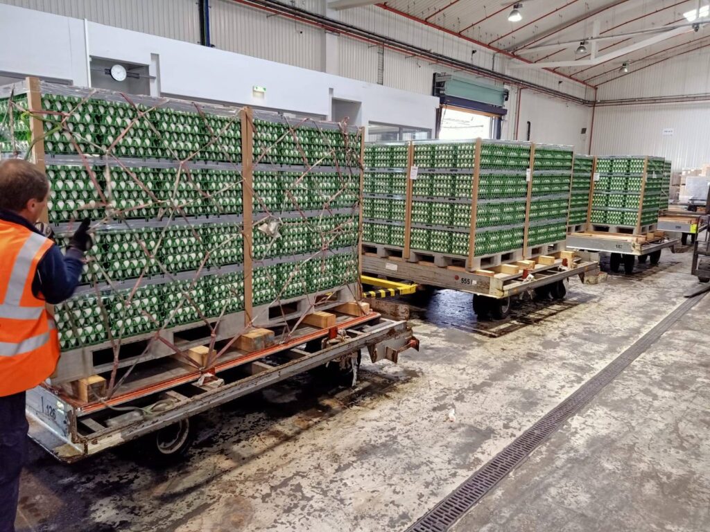 exportación de huevos con destino al mercado europeo