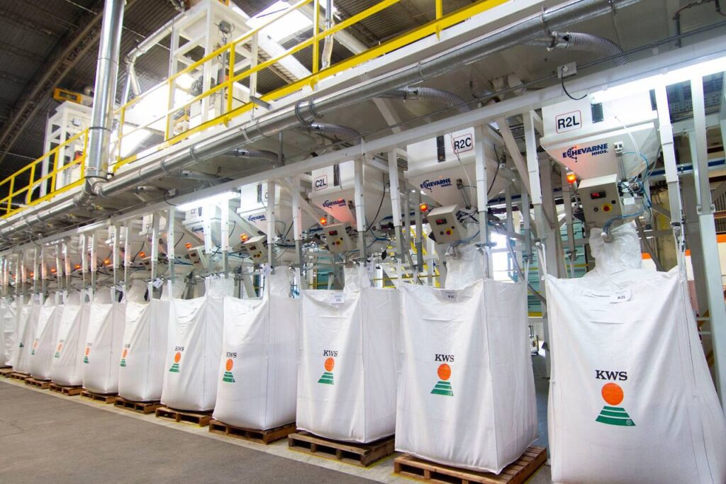 Industria aceitera argentina en plena producción durante el repunte agroexportador argentino