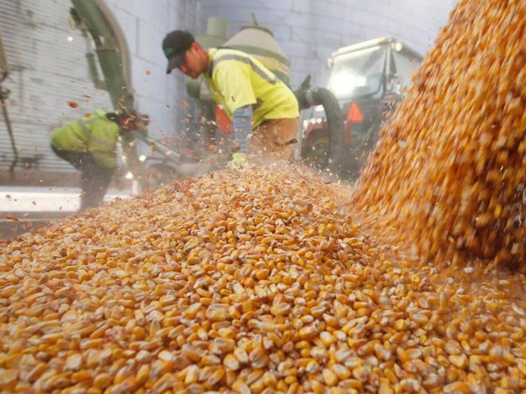 mejor performance exportadora agropecuaria argentina 2025
