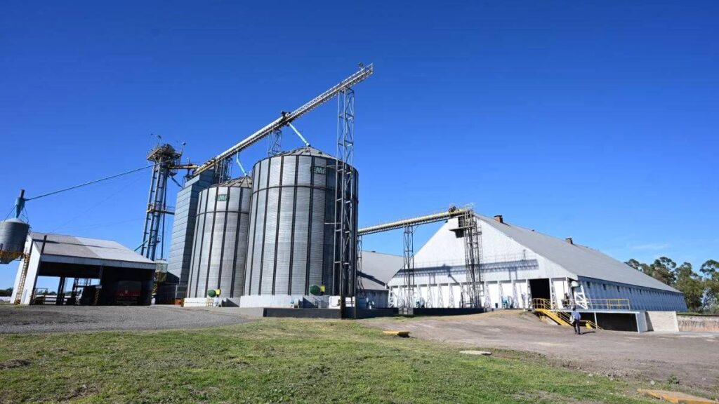 Molinos Agro Timbúes y molienda de oleaginosas en Argentina