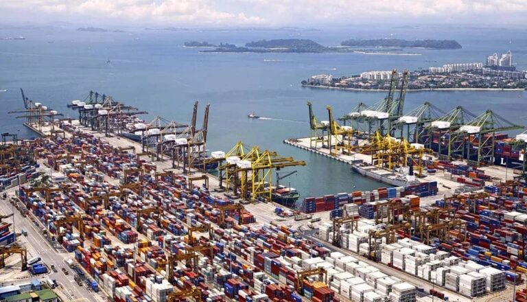 Mercosur-Singapur y comercio exterior entre Argentina y Asia