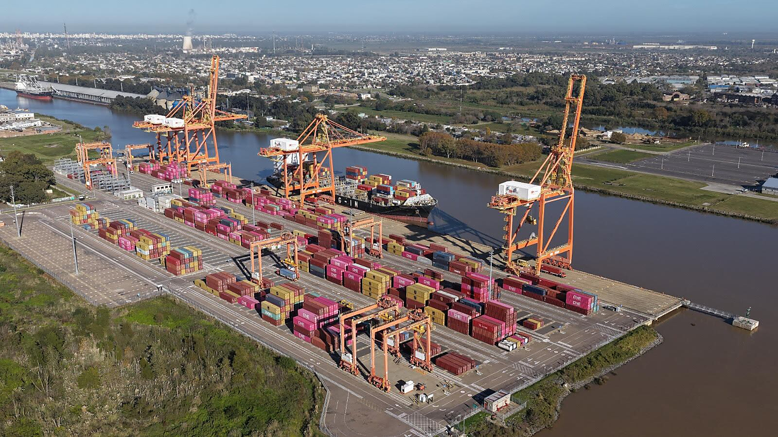 artículo ARCA establece tres horas para rectificar exportaciones en Argentina