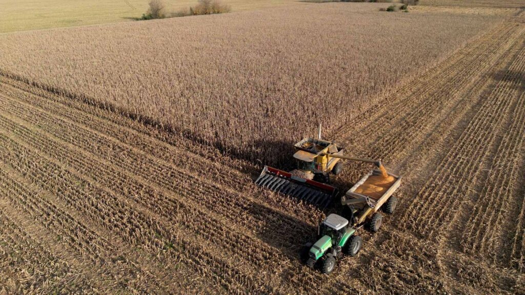 exportaciones agroindustriales argentinas soja maíz limón