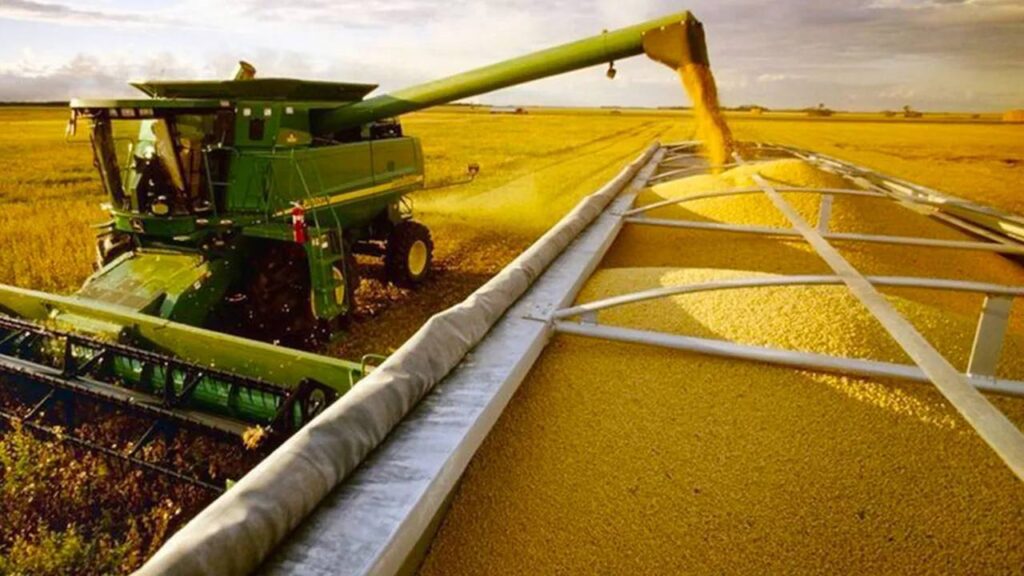 Exportaciones de soja argentina impulsadas por China
